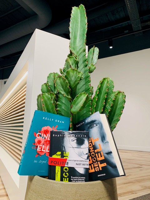 Books in a flowerpot with a cactus
